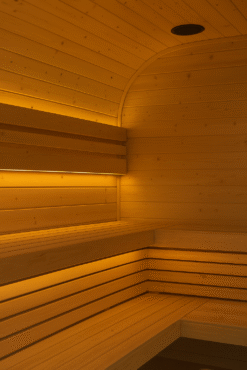 Sauna with Extra Shower Interior design